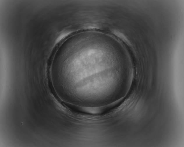 X0000086751404200704131141