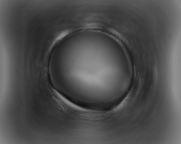 X0000086751405200704131141