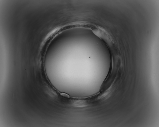 X0000086751406200704131141