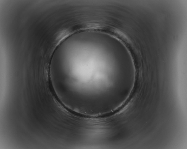 X0000086751409200704131141