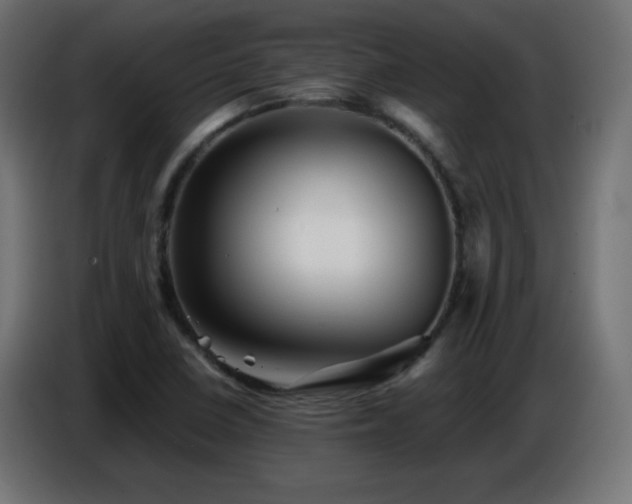 X0000086751410200704131141