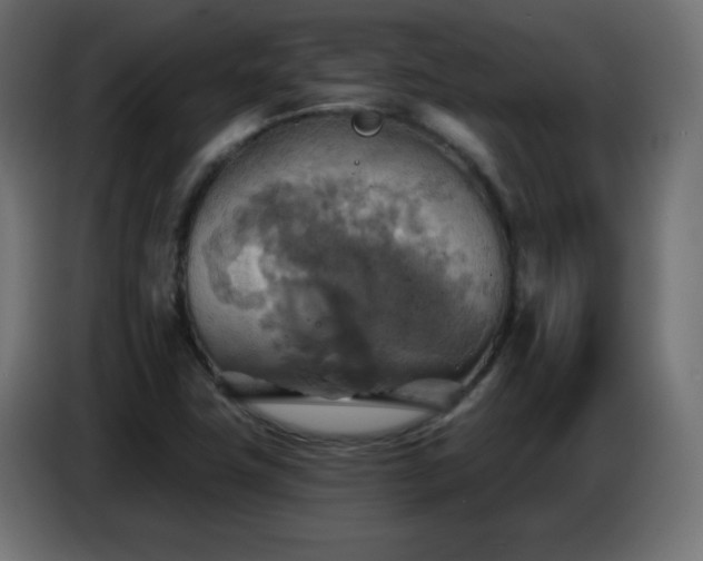 X0000086751411200704131141