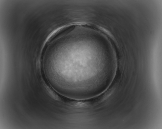 X0000086751412200704131141