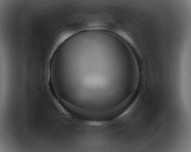 X0000086751413200704131141