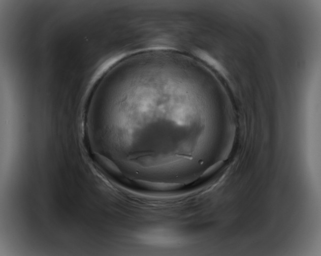 X0000086751415200704131141