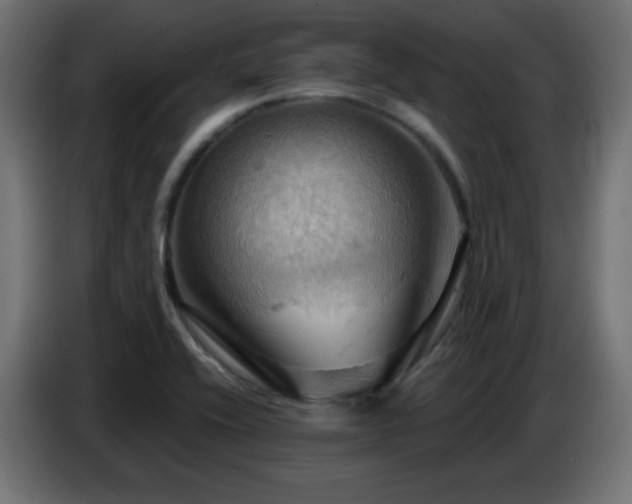 X0000086751416200704131141