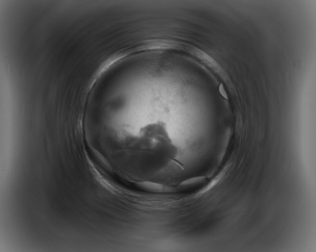 X0000086751417200704131141
