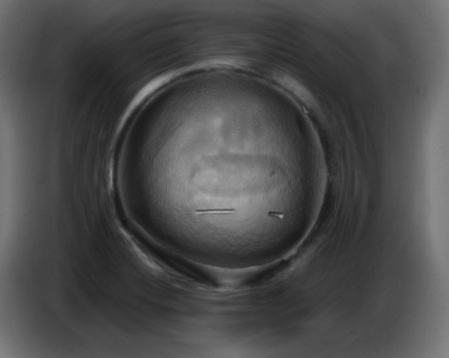 X0000086751420200704131141