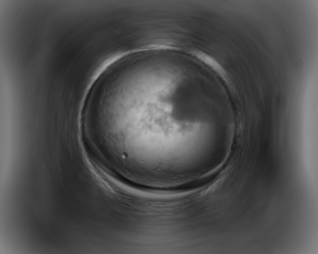 X0000086751423200704131141