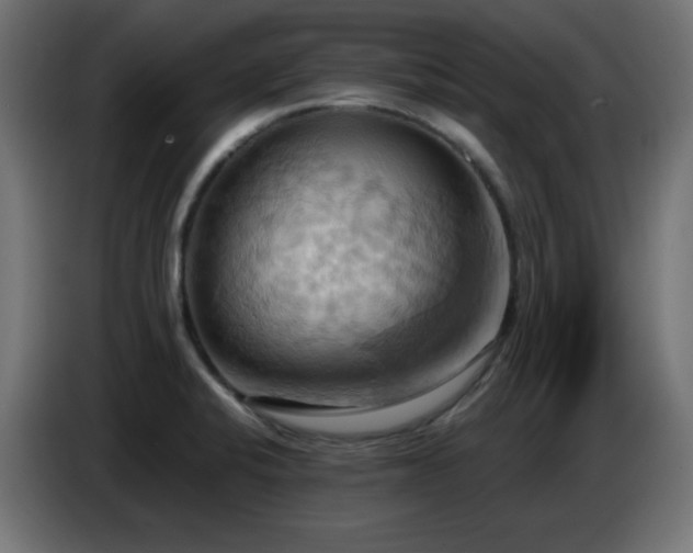 X0000086751424200704131141