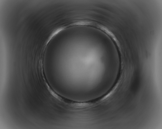 X0000086751425200704131141