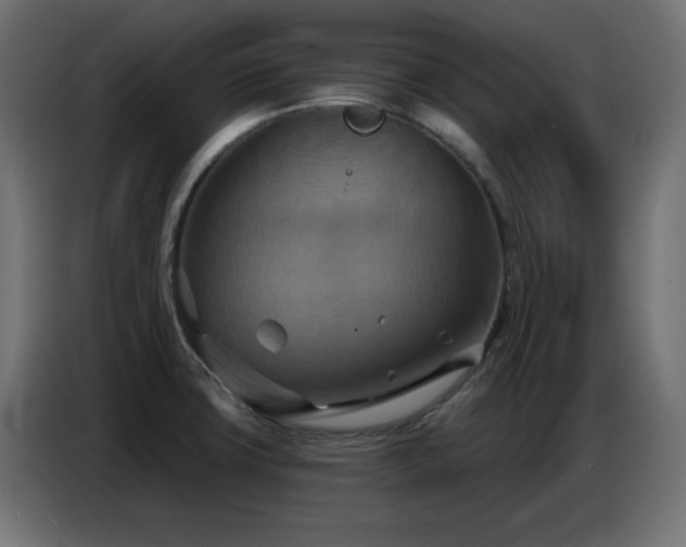 X0000086751427200704131141