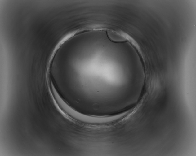 X0000086751429200704131141