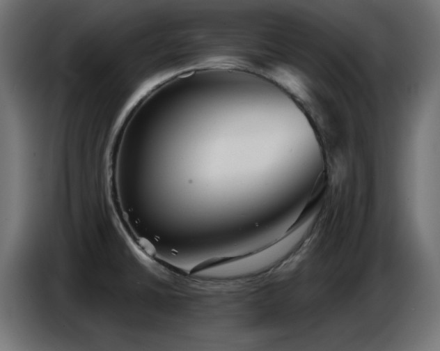 X0000086751430200704131141