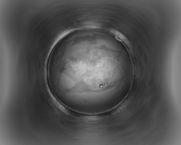 X0000086751431200704131141