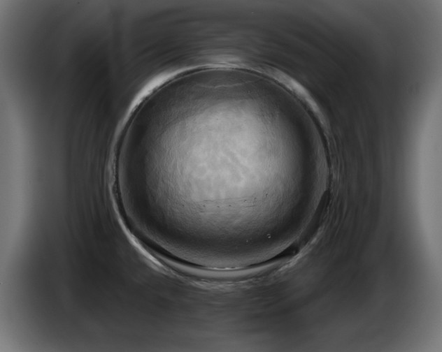 X0000086751432200704131141