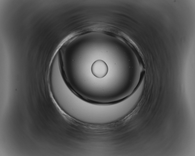 X0000086751434200704131141