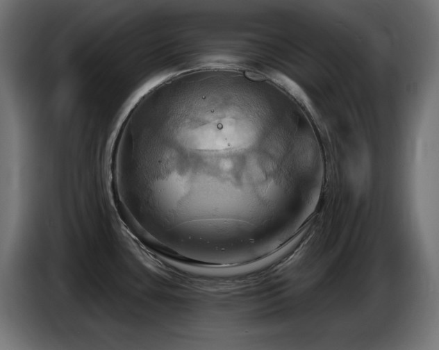 X0000086751435200704131141