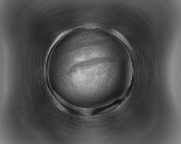 X0000086751436200704131141