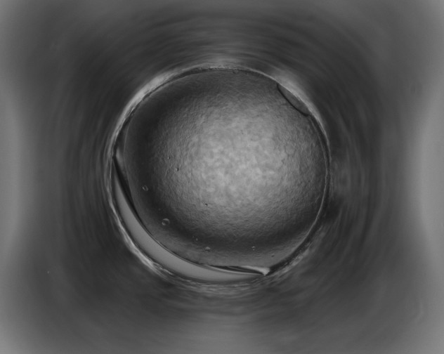 X0000086751437200704131141