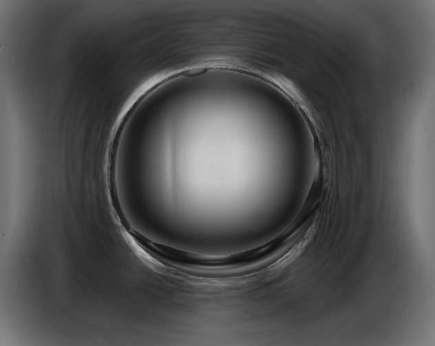 X0000086751438200704131141