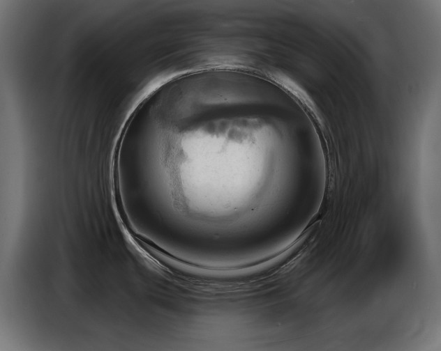 X0000086751439200704131141