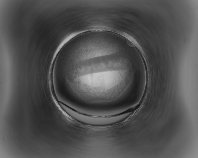 X0000086751440200704131141