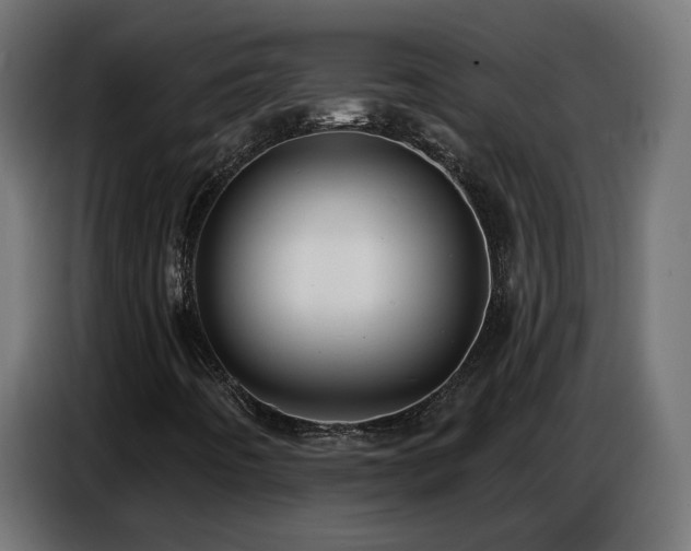 X0000086751442200704131141