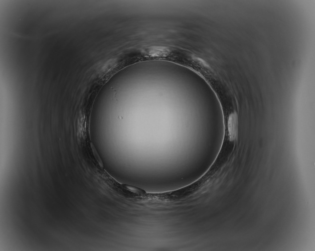 X0000086751443200704131141