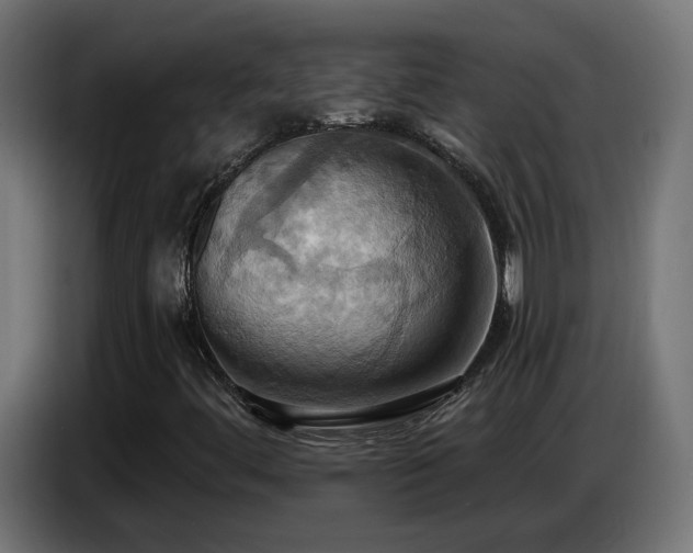 X0000086751444200704131141