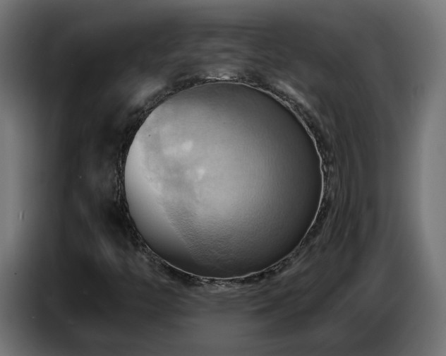 X0000086751446200704131141