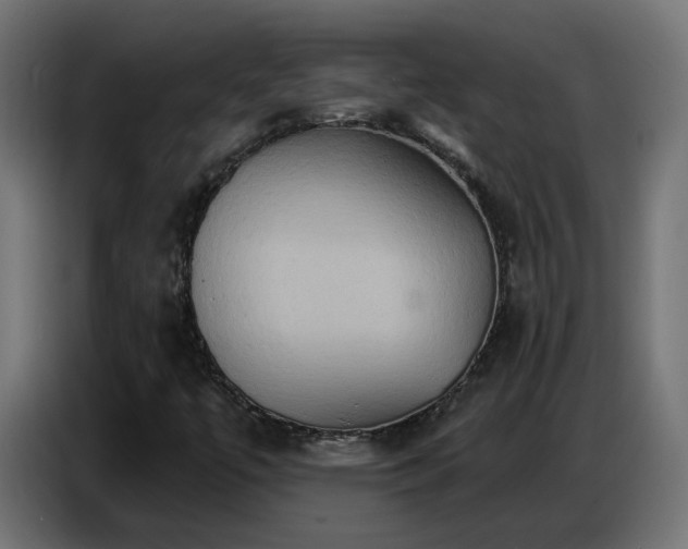X0000086751447200704131141