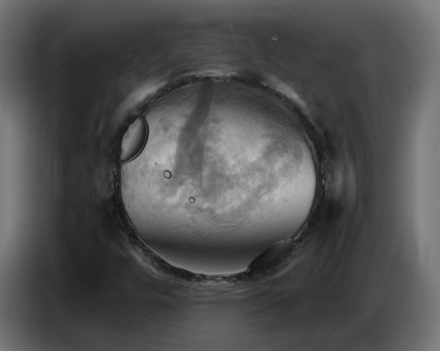 X0000086751448200704131140
