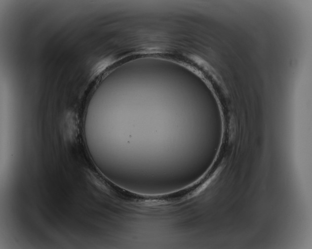 X0000086751449200704131140