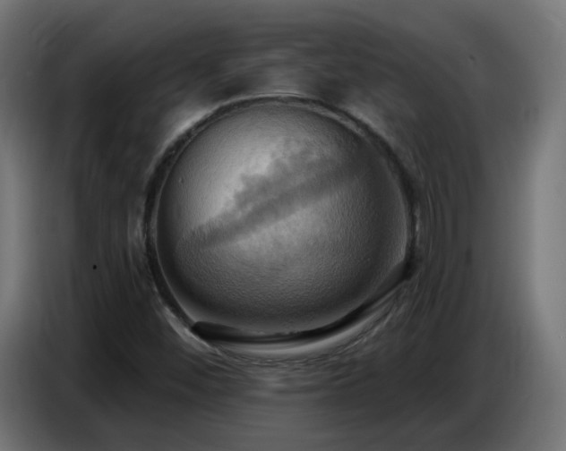 X0000086751452200704131140
