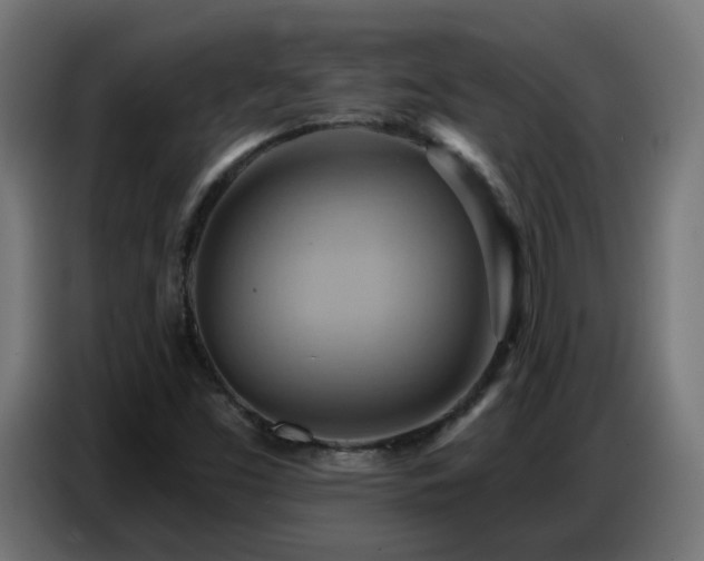 X0000086751453200704131140