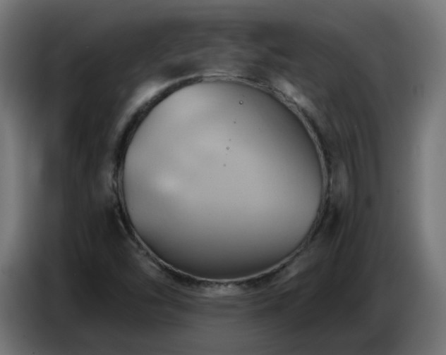 X0000086751454200704131140