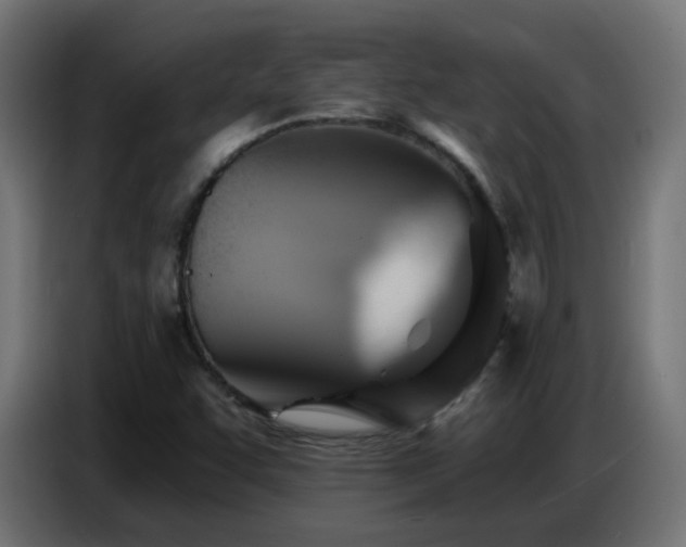 X0000086751455200704131140