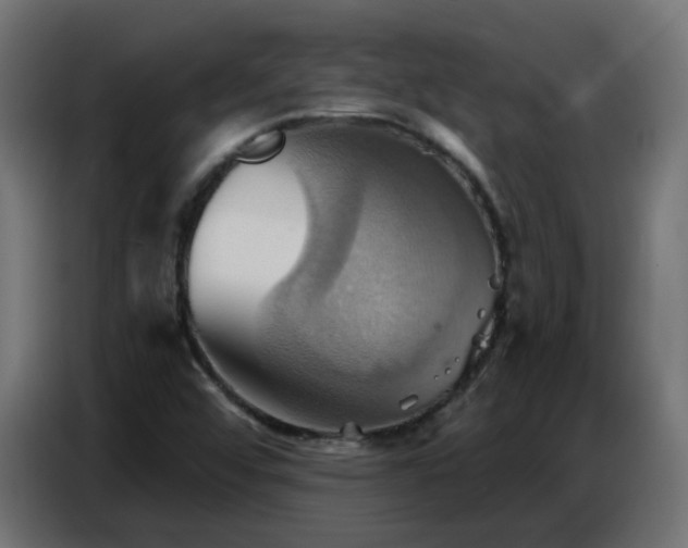 X0000086751456200704131140