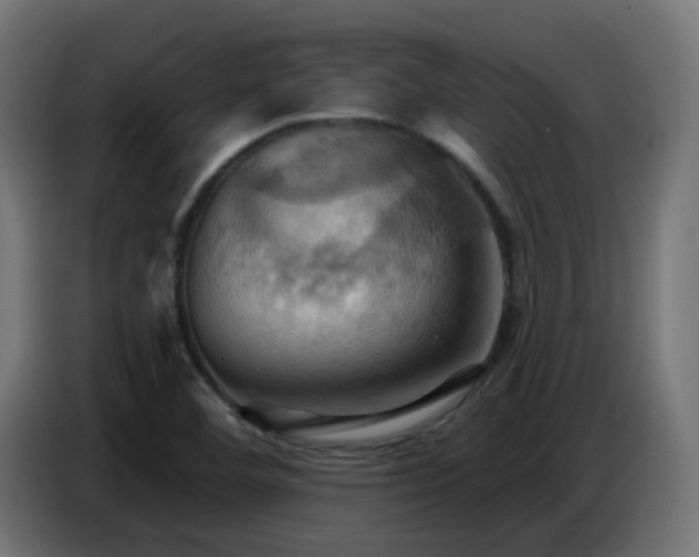 X0000086751460200704131140