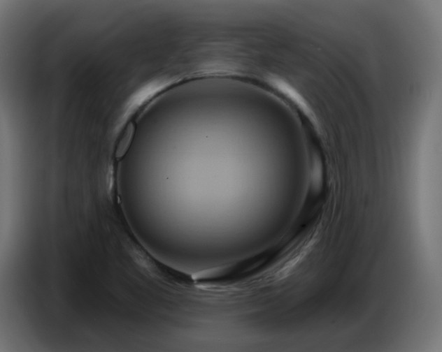 X0000086751461200704131140