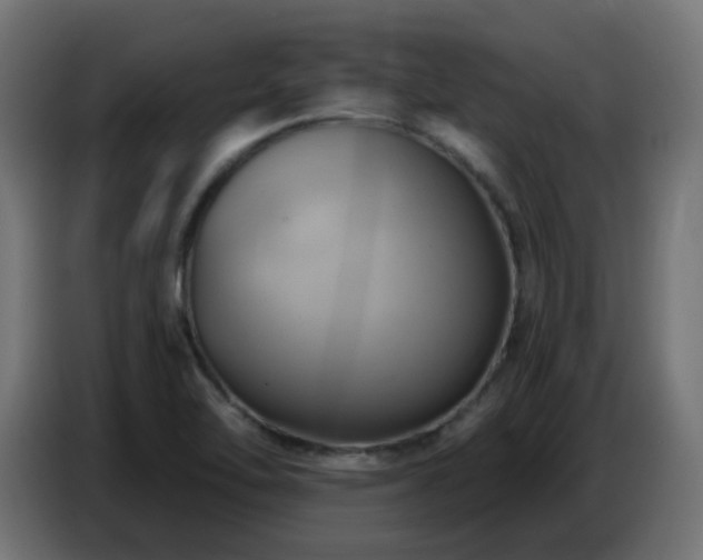 X0000086751462200704131140