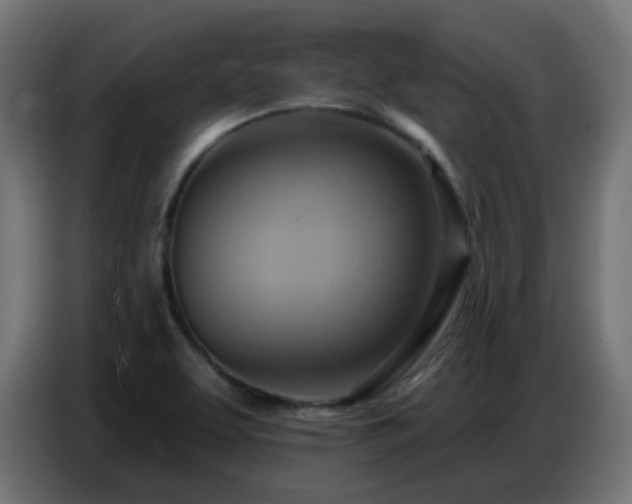 X0000086751463200704131140