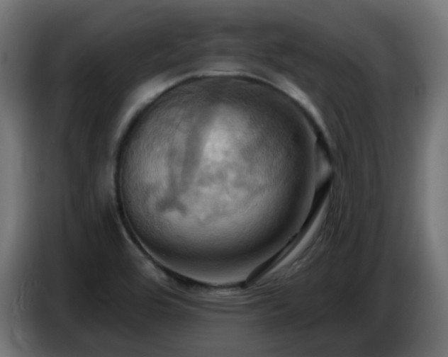 X0000086751464200704131140