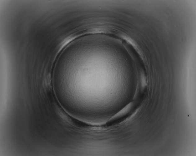 X0000086751465200704131140