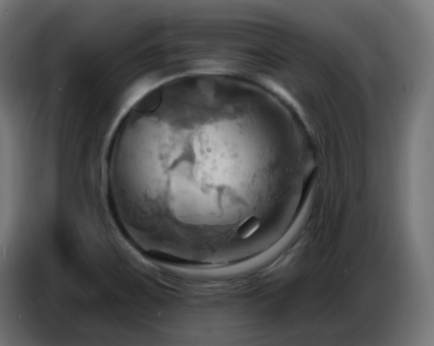 X0000086751467200704131140