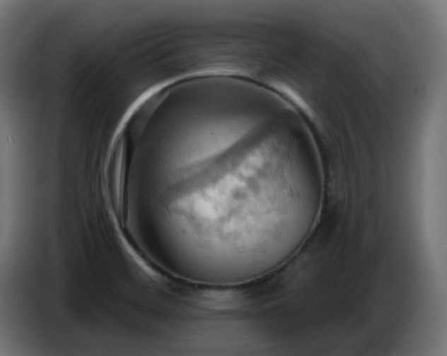 X0000086751468200704131140