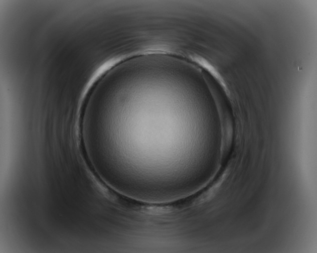 X0000086751469200704131140