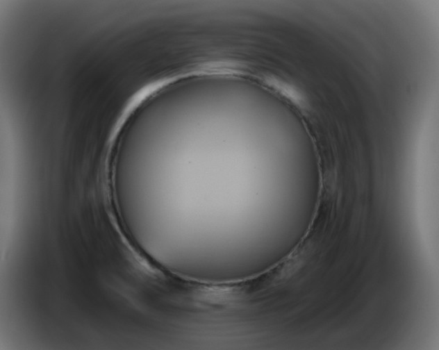 X0000086751470200704131140