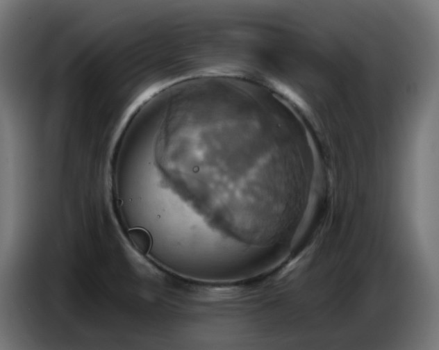 X0000086751471200704131140